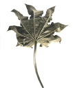 Leaf no. 39